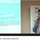 VRI leading researcher talking in MSP Baltic forum