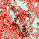 Large even-toed ungulate in time and space