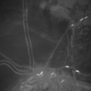 IKT balstīta savvaļas dzīvnieku uzskaite