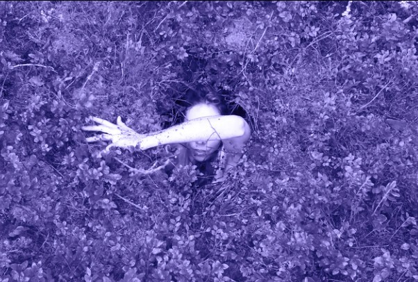 Lekciju cikla ZEME: #3 Pieslēgties biotopam publicitātes attēls. Attēls: 2 Annas.